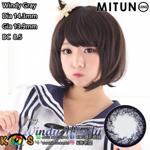 Mitunolens Windy Gray ウィンディウィンディグレー 1年用 14.3mm